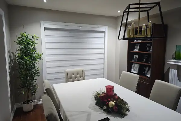 20231110_185525-scaled (1)